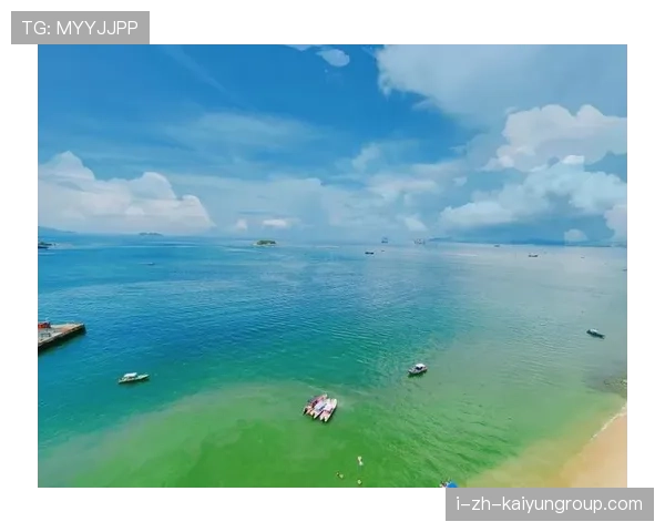 台风助力惠州海鲜增多，赶海活动热度攀升，惠州的台风要什么时候来什么时候走